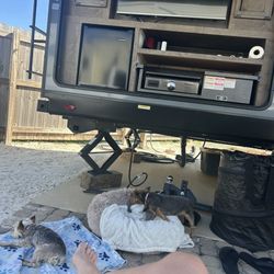 Playa Del Rio RV Park - Sites are concrete