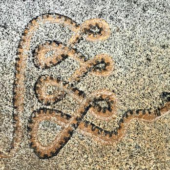 Copperhead Holistics: Doula and Nutrition Support - Doulas Near Me Copperhead Holistics: Doula and Nutrition Support - Doulas Near Me