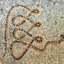 Photo of Copperhead Holistics: Doula and Nutrition Support