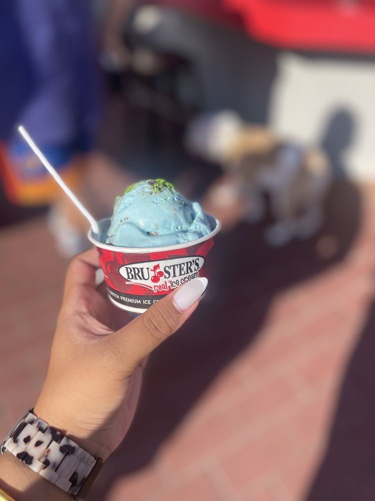 BRUSTER’S REAL ICE CREAM 348 Photos & 189 Reviews 40524 Albrae St