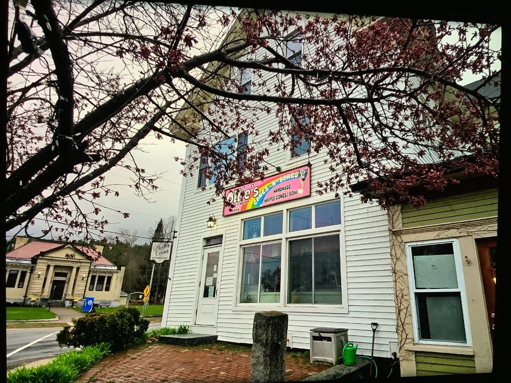 Ollie's Cones-N-Bones