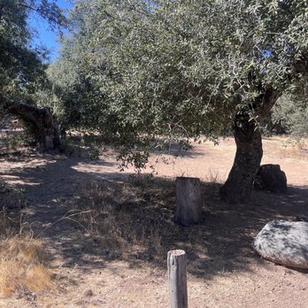Green Valley Picnic & Campground - Campgrounds Near Me - Descanso, California Green Valley Picnic & Campground - Campgrounds Near Me - Descanso, California