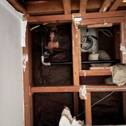 Drain Kings
