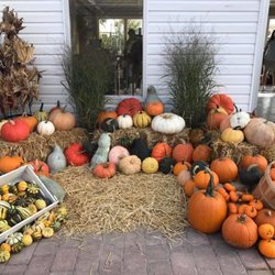 Colonial Classics - Colonial Classics Landscape & Nursery Seasonal