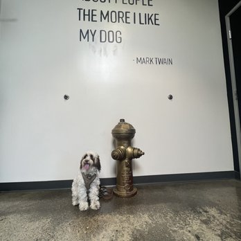 Hydrant Pet Hotel - Pet Groomers Near Me - Costa Mesa, California Hydrant Pet Hotel - Pet Groomers Near Me - Costa Mesa, California