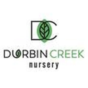 Durbin Creek Nursery - Nurseries & Gardening Near Me - Saint Johns, Florida Durbin Creek Nursery - Nurseries & Gardening Near Me - Saint Johns, Florida