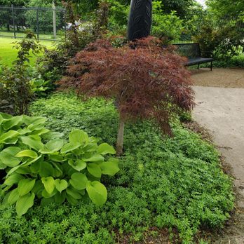Garfield Park Conservatory - Parks Near Me - Chicago, Illinois