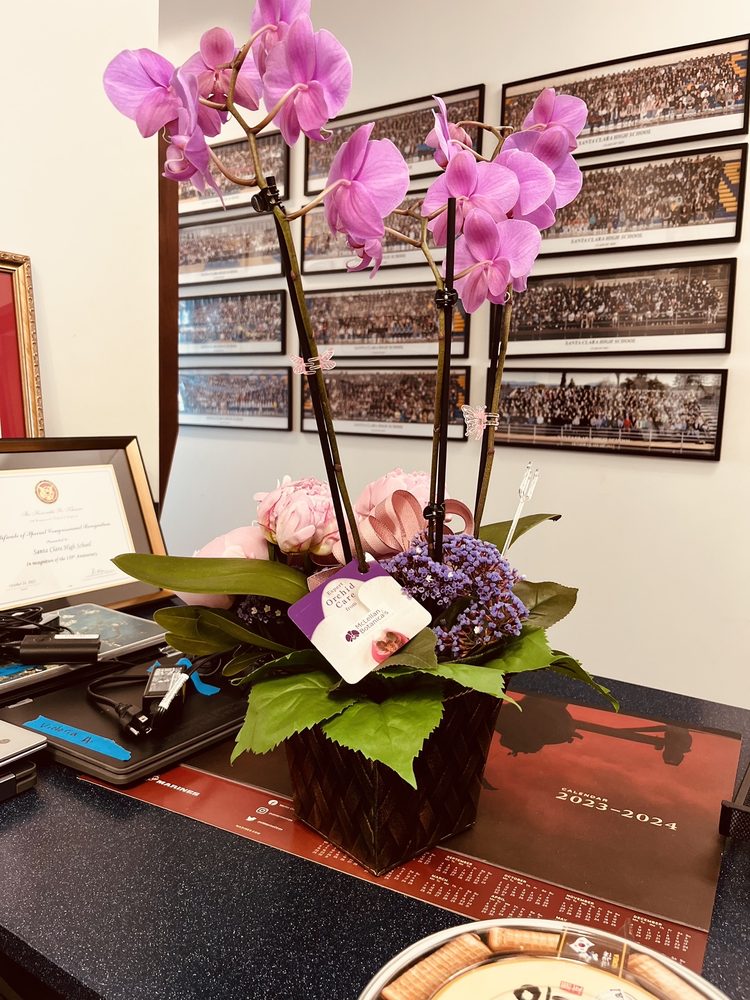 FLOWERS BY YIP Updated October 2024 56 Photos & 79 Reviews 2374