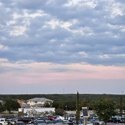 Oasis Texas