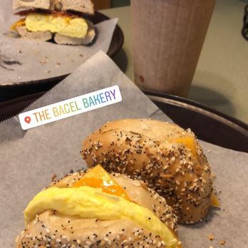 Bagel Bakery - Bagels Near Me - Gainesville, Florida Bagel Bakery - Bagels Near Me - Gainesville, Florida