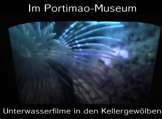 Museu de Portimão by null