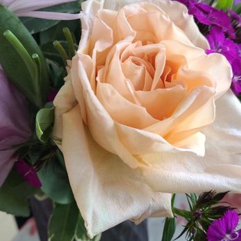 My Flower Shop - Florists Near Me - San Francisco, California My Flower Shop - Florists Near Me - San Francisco, California