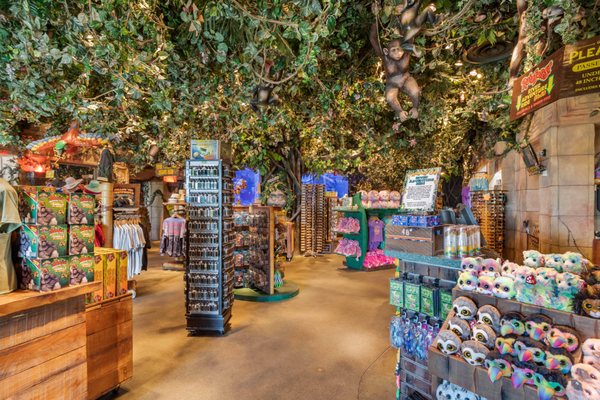 Rainforest Cafe by null