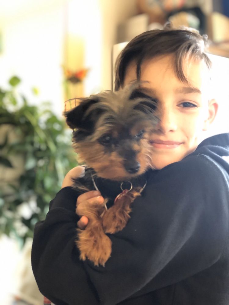 ANIMAL EYE CLINIC OF SPOKANE Updated August 2024 218 E Spokane