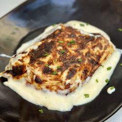 Dish of the day 2.28.24 - Cannelloni