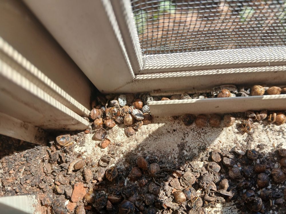 The Park Apartment Homes - property management company in Prattville, AL