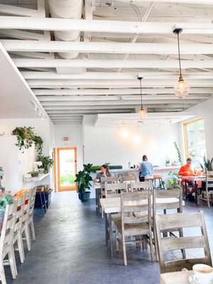 Fiddlehead Fern Cafe by null