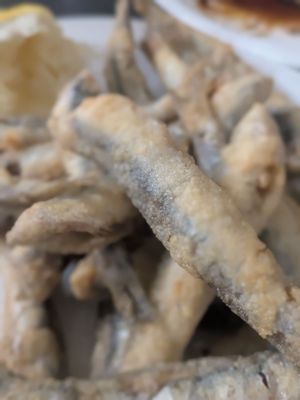 Antigua Casa de Guardia by null