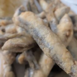 Antigua Casa de Guardia - Fried fish