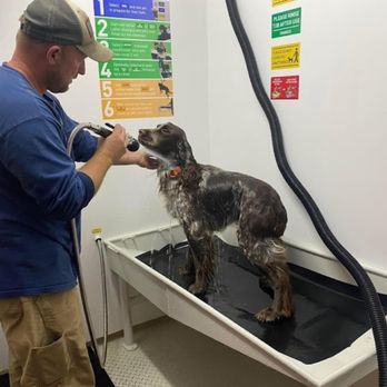 Dirty Paws Pet Wash - Pet wash - Pet Services Near Me - Statesboro, Georgia Dirty Paws Pet Wash - Pet wash - Pet Services Near Me - Statesboro, Georgia