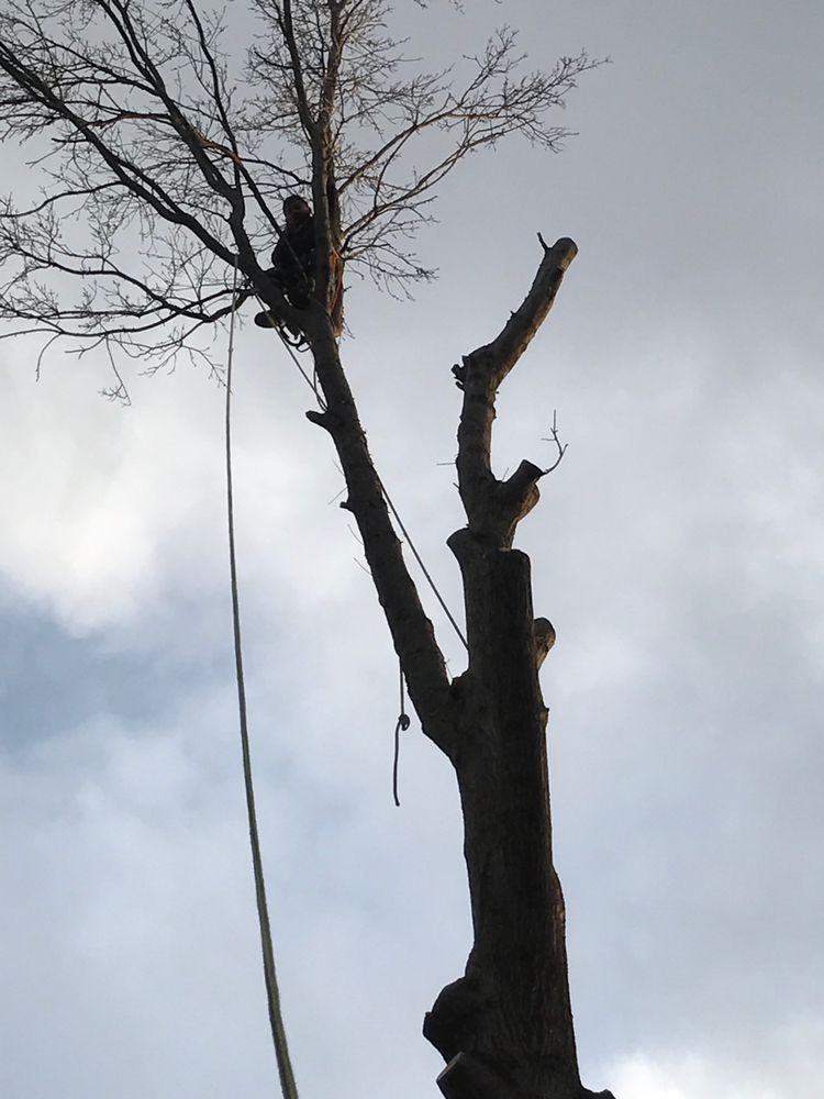 Slide of Champ Vision Roofing Services