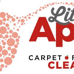 Little Apple Carpet, Floor & Air Cleaning