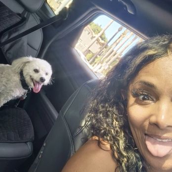 Van Nuys Veterinary Clinic - my ride or die!!! Snowbeezie... would not trust him to just anybody! - Veterinarians Near Me - Van Nuys, California Van Nuys Veterinary Clinic - my ride or die!!! Snowbeezie... would not trust him to just anybody! - Veterinarians Near Me - Van Nuys, California