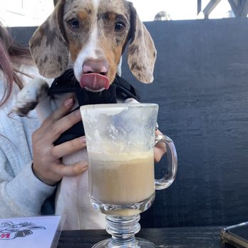 Werewolf - Our bad ass dog wishing he was able to try their Irish coffee. Little bastard missed out. - Breakfast & Brunch Near Me - San Diego, California Werewolf - Our bad ass dog wishing he was able to try their Irish coffee. Little bastard missed out. - Breakfast & Brunch Near Me - San Diego, California