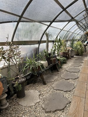 Greenhouse Bar by null
