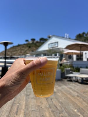 Malibu Pier by null