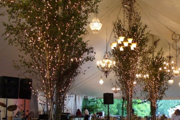 Hugs & Kisses by null