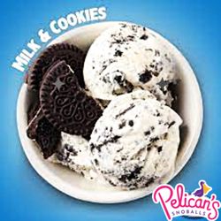 Pelican's SnoBalls- Jax Beach - Now Serving 10 Flavors of Hand Dipped Ice Cream!