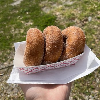 First Stop Donuts - Apple cider donuts - Food Trucks Near Me First Stop Donuts - Apple cider donuts - Food Trucks Near Me