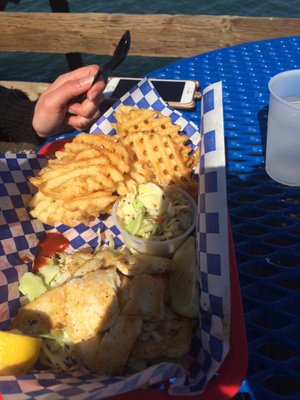 The Tin Fish by null