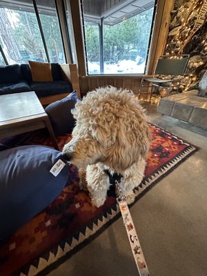Station House Inn South Lake Tahoe, by Oliver by null