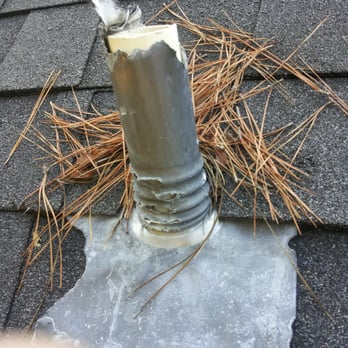Andy Nichols Roofing - Squirrel damage to pipe flashing. Causing leaks. This is a common problem. - Roofing Near Me - Houston, Texas Andy Nichols Roofing - Squirrel damage to pipe flashing. Causing leaks. This is a common problem. - Roofing Near Me - Houston, Texas