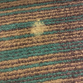 Baymont by Wyndham Baldwin - Dog poop crusted into carpet - Hotels Near Me - Baldwin, Wisconsin Baymont by Wyndham Baldwin - Dog poop crusted into carpet - Hotels Near Me - Baldwin, Wisconsin