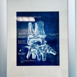 Orthopedic Associates Of Dutchess County - August 2026 - wrist joint