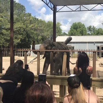 Two Tails Ranch - Zoos Near Me - Williston, Florida