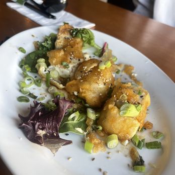 Sachi Ramen And Robata Bar - Crispy Soft Tofu Tempura - Ramen Near Me - Santa Barbara, California Sachi Ramen And Robata Bar - Crispy Soft Tofu Tempura - Ramen Near Me - Santa Barbara, California
