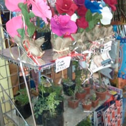 Flores de papel y reales también