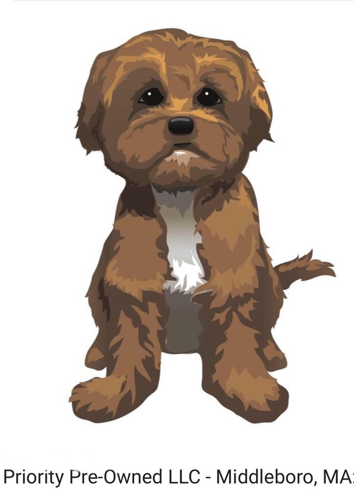 PRIORITY PREOWNED Updated August 2024 80 Photos 161 Wareham St