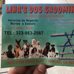 Flyer Flyer