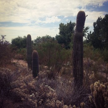 Veterans Oasis Park - Parks Near Me - Chandler, Arizona Veterans Oasis Park - Parks Near Me - Chandler, Arizona