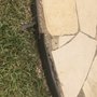 Photo of BDH Landscaping