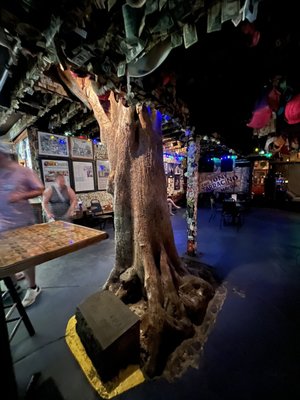 Capt Tony’s Saloon by null
