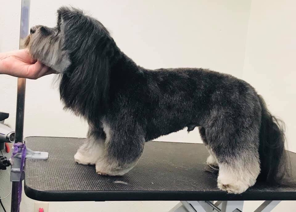 THE GROOM ROOM TYLER Updated July 2024 3710 Westway St, Tyler