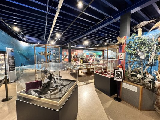 Alaska Museum of Science and Nature by null