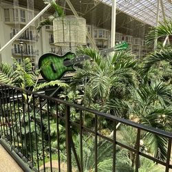 Gaylord Entertainment