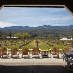View into Kronos Vineyard.
